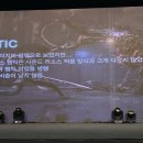 돌고래노래뱅크 루리웹게임뉴스