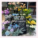 사라스가든 | 신용산역 꽃집 | 가격정찰제 • 신선하고 예쁜 사라스가든 💐