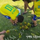 노블레스팬션 이미지