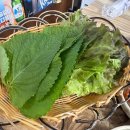 태성불고기 | 청주 가경동 태성불고기 항정살 맛집이네