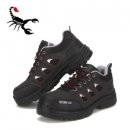 스콜피온 이미지