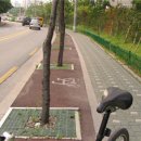 자전거 도로 이미지