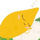 까드로 이미지
