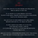 (공연) 시크릿 뮤지컬 <오늘 처음 만드는 뮤지컬> | [뮤지컬 베토벤] 홍광호 박효신 캐스팅 공개! 2026 베토벤 삼연 공연일정 예매조합 추천