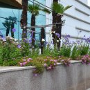 (주)태종대온천 이미지