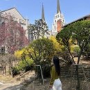 청라언덕역(2대) | [대구여행]청라언덕역 벚꽃/개나리/만개후기