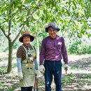 상송호두농원 이미지