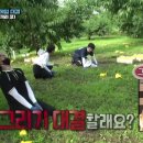 기안농장 이미지