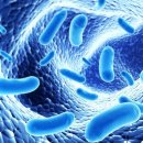 효성하나공인중개사사무소 이미지