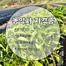 한국종묘농약사 이미지