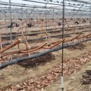 정만농장 이미지