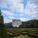 강원애니팜 이미지