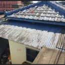 완월동243 이미지