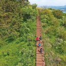 비양길100 이미지