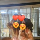 [밀양] 별아래 펜션(애견동반가능 펜션) 방문후기‼️