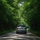 영월주유소 | 영월 법흥사 고갯길, 아는 사람만 가는 숨은 드라이브 명소