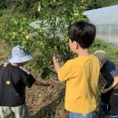 군산언어심리센터 이미지