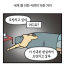 안경박사 광장점 | 도망치지 않은 나 멋져요