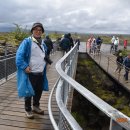 2025.07.09~21 (아이슬란드,라우가베구르 트레킹 등) 이미지