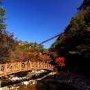 제 858차 순창 강천산 담양 금성산성 송년산행(2025년12월 28일) 이미지