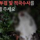 안암지구대 이미지