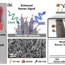 세종광학 이미지