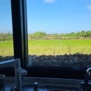 한동리만두 이미지