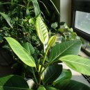 새로운세상 이미지