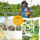 신토불이 이미지