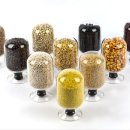 비움채움생식