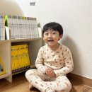 내셔널지오그래픽 키즈 콜라보한 디스커버리 첫 지식백과 빅북 재밌어요