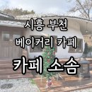 일식당소솜 | 카페 소솜, 귀여운 버섯 모양 카페 시흥 베이커리 카페