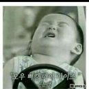 아미다미술 | 드디어 하는 100문100답!!