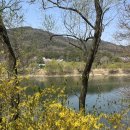 경아네민박 이미지