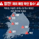 공차 롯데시네마 파주운정점