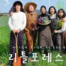 글로벌제주문화협동조합 이미지