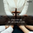 신천지약국 네이버블로그