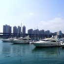 해운대 해변로 이미지