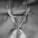 수노을동물병원 이미지