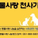 (주)디에스약품 이미지