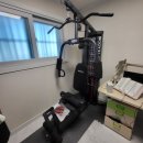 대로토탈 휘트니스 | 서울 여의도에서 경기도 파주로 바디엑스 토탈 홈짐 H88 홈짐이사,운동기구 이전 설치 완벽 후기...