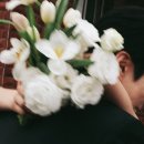 영포토 이미지