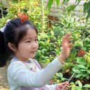나만의 드립백 만들기 A | 꼬마 요정 리유의 봄나들이, 담양커피농장에서 꽃을 보며 커피숲 구경과 커피 드립백만들기 체험