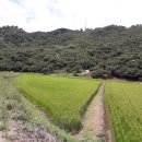 소태면사무소 이미지