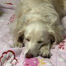 비에이치씨만촌3동점 | 🏃🏻‍♀️‍➡️•• 5월 •• 어디가요 •• 🏃🏻‍♀️‍➡️