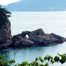 흑산도 Daum카페