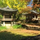 서하동복 이미지