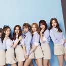 코새컴퍼니 이미지