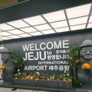 매일카서비스 | 제주도 렌트 비용 예약 후기, 제주더렌트 제주 한라산렌트카