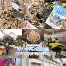 상징 조형물(자전거 | 제주 아이와 가볼만한곳 세계자동차&amp;피아노박물관 스탬프투어 면허증체험 후기